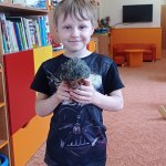 phoca_thumb_m_zajci a zvtka 2 Fotogalerie
